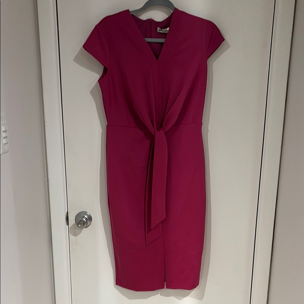 NWT Elegant Raspberry Dress
